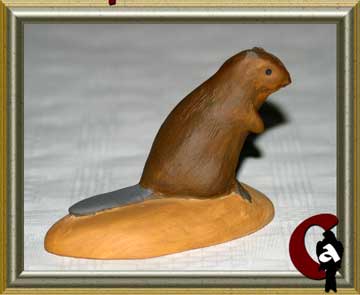 European beaver - Castor fiber
